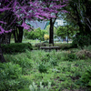 Rest area in the park