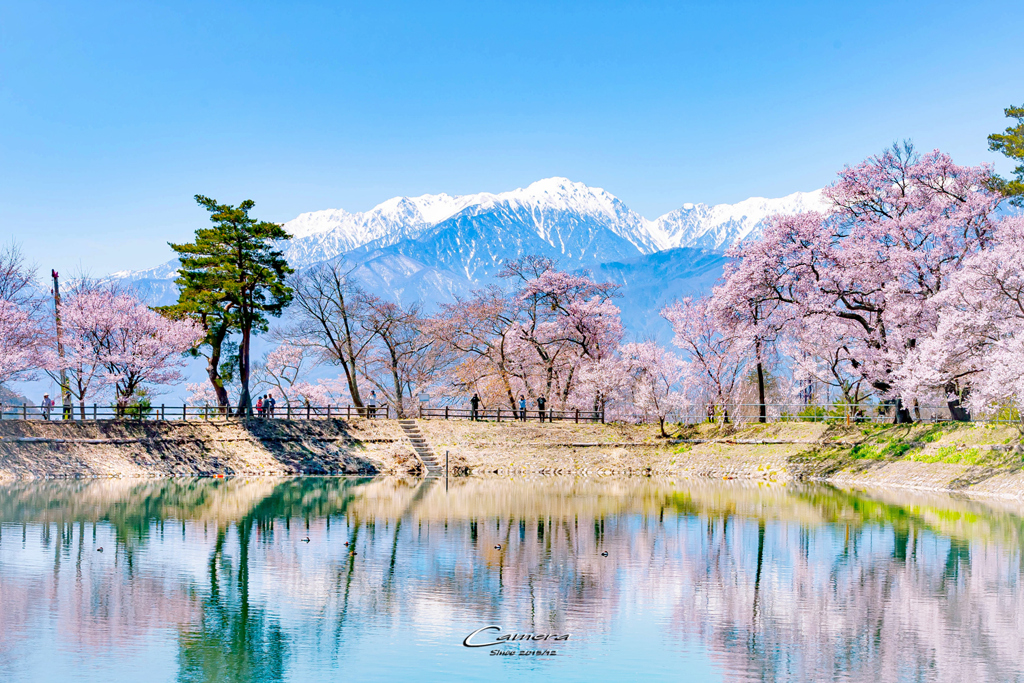 春の六道堤
