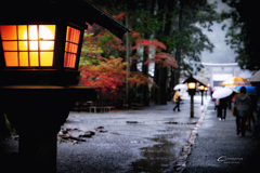 雨の小國神社　1