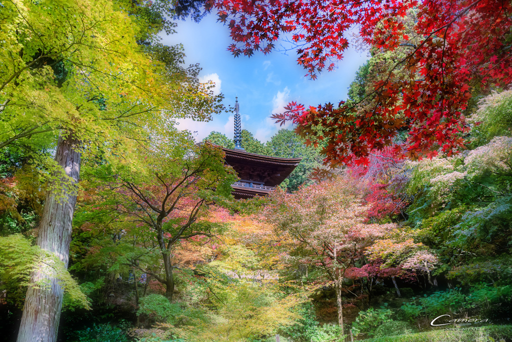 色づく山寺