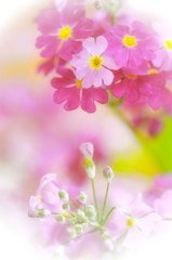 for you… 1