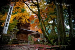 晩秋の横蔵寺　8