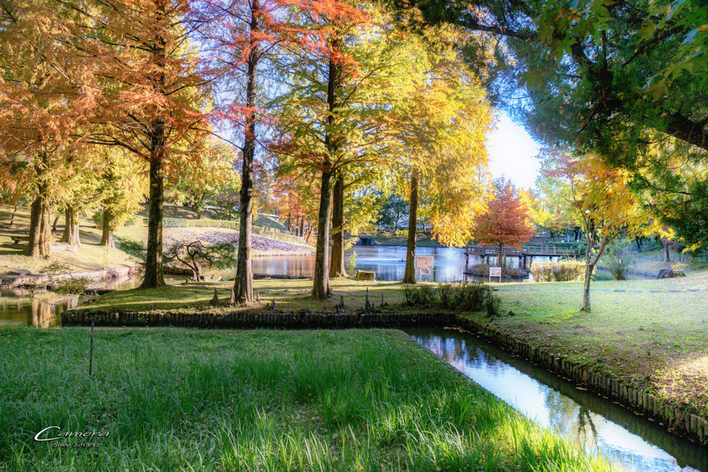 In autumn colors