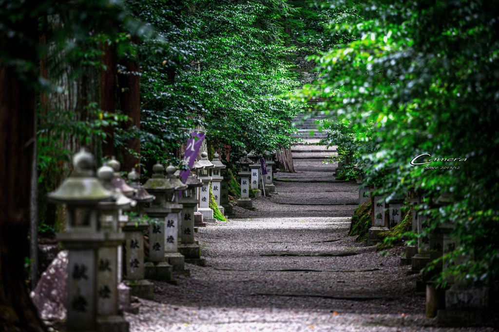 参道　Ⅱ