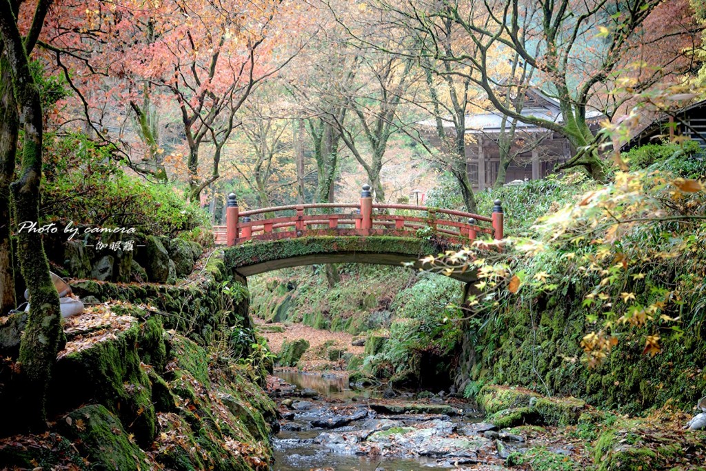 晩秋の横蔵寺　11