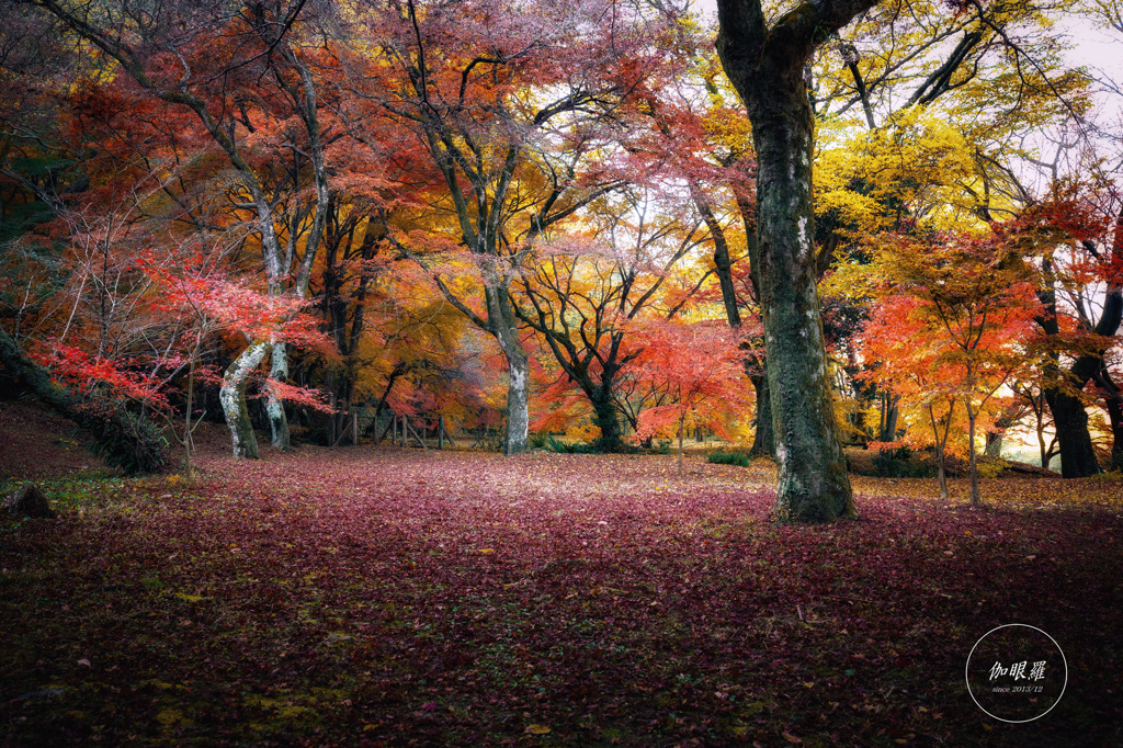 静寂を敷きつめて