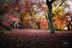 静寂を敷きつめて