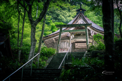 新緑の大矢田神社 Ⅷ
