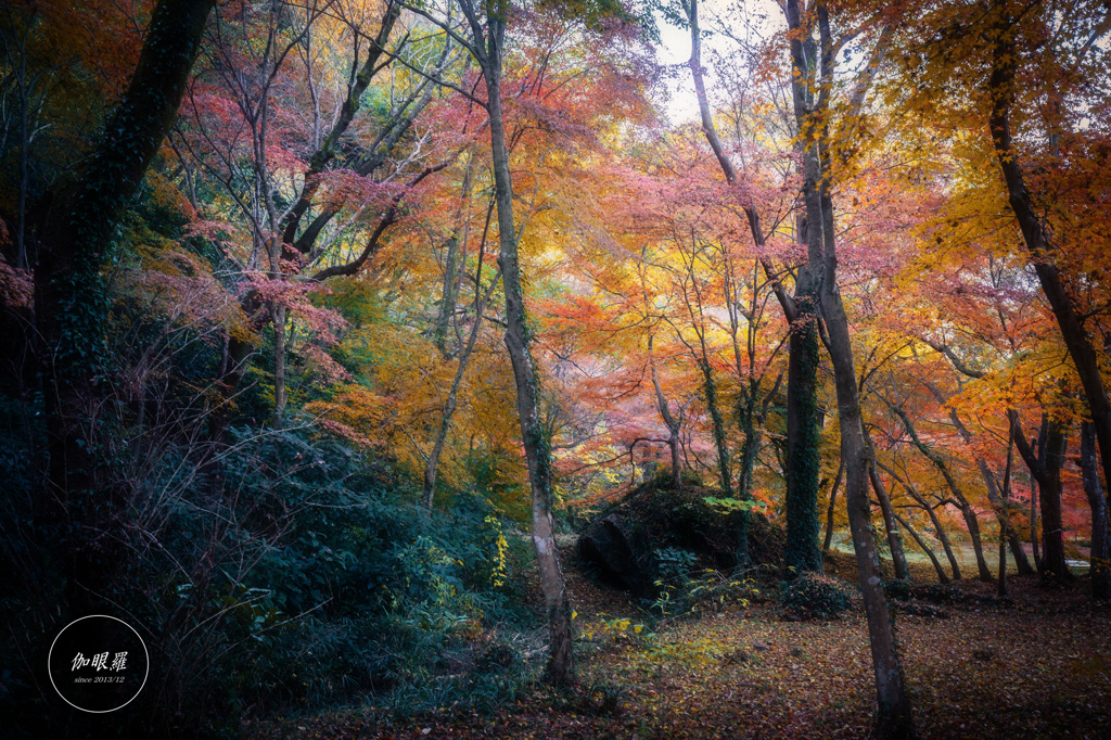 静けさに染まる