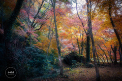 静けさに染まる