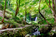 五宝の滝　8