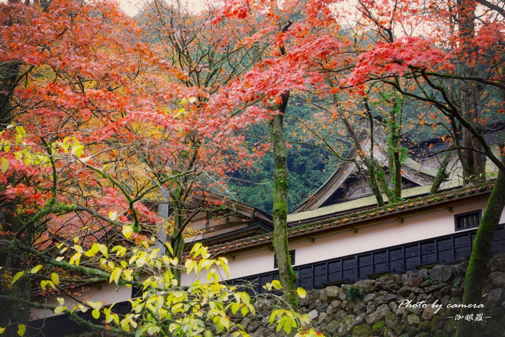 晩秋の横蔵寺　2