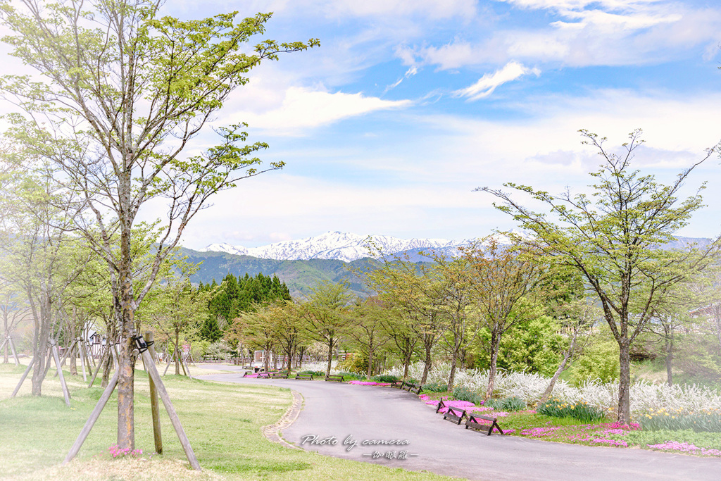 高原の散歩道