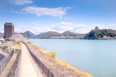 春の清流