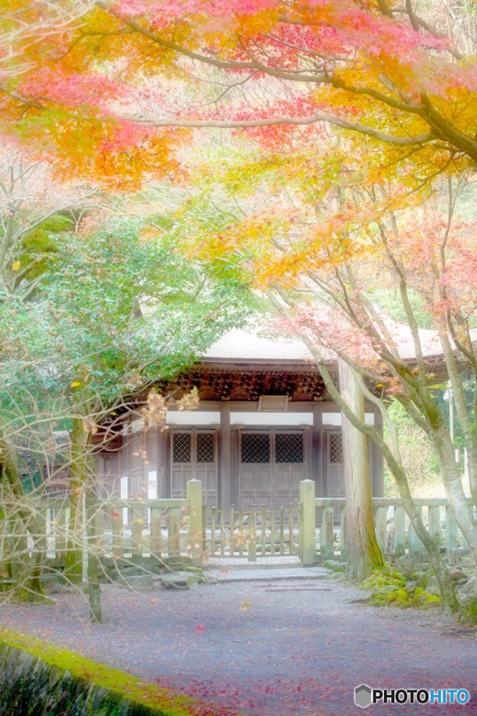 ひっそり佇む