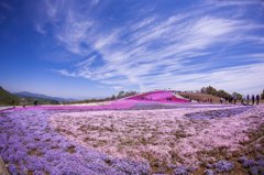 天空の花回廊