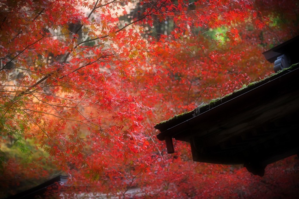 秋の横蔵寺　４