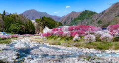 花桃の里 Ⅺ