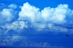 雲の峰よ