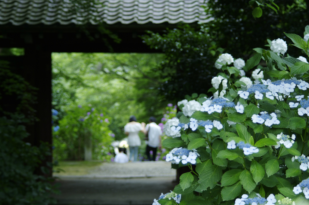 隣