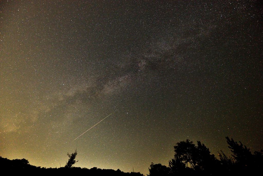 夏の流星群