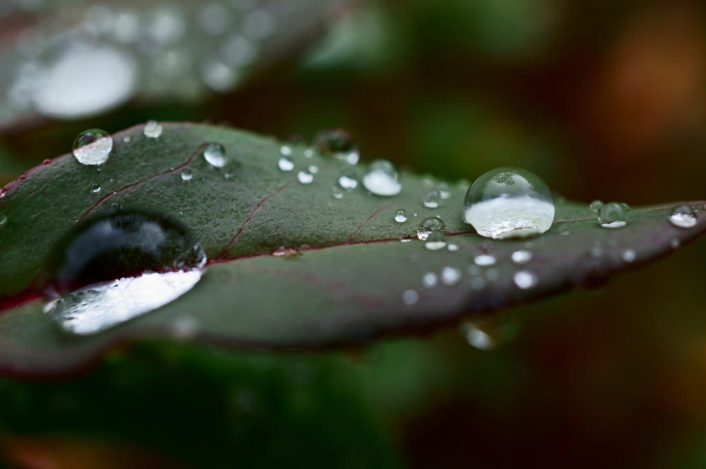 雨の中