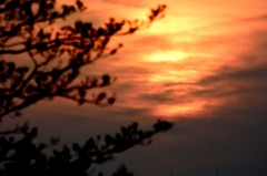 十神山なぎさ公園の夕景