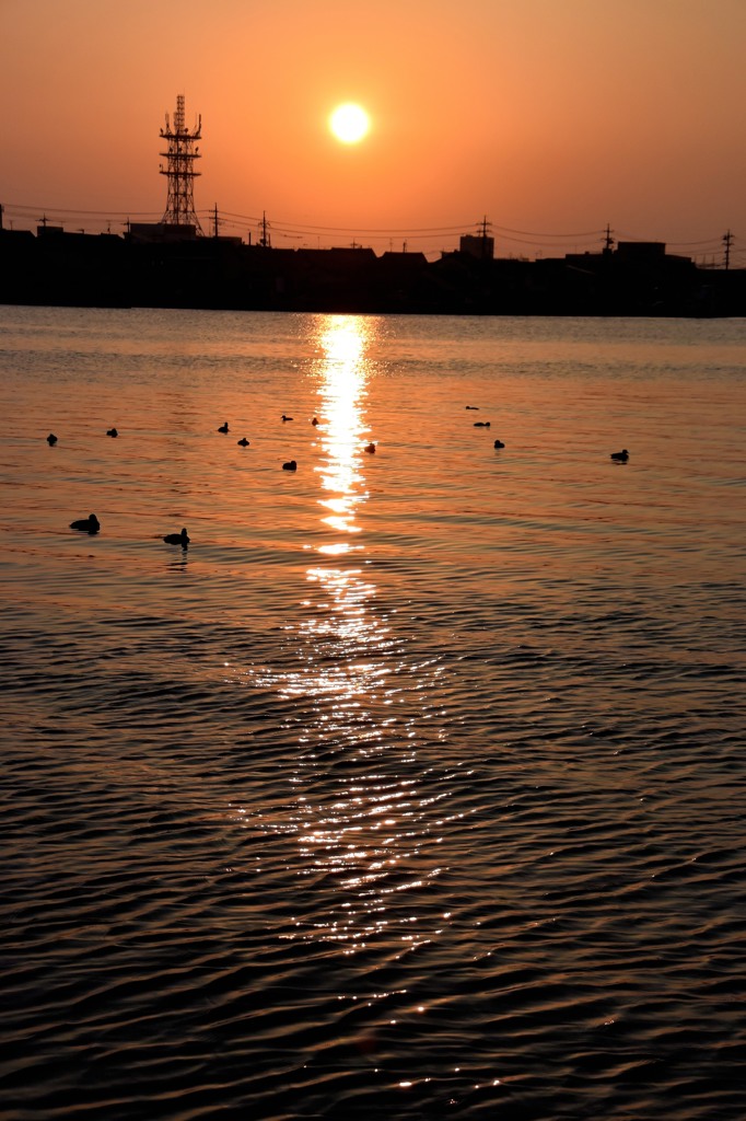 中海の夕景