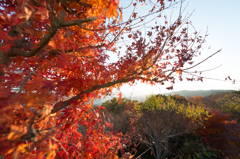 眉山からの風景１