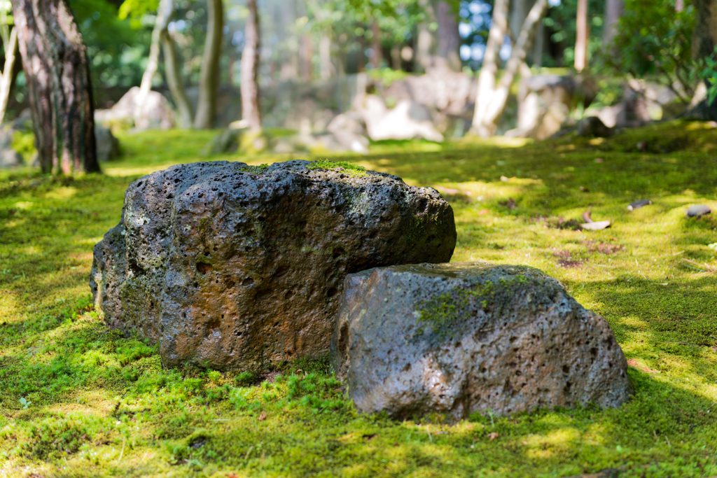 苔に囲まれる庭石