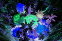 negative