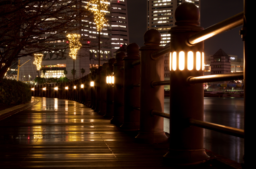 横浜夜景　　遊歩道2