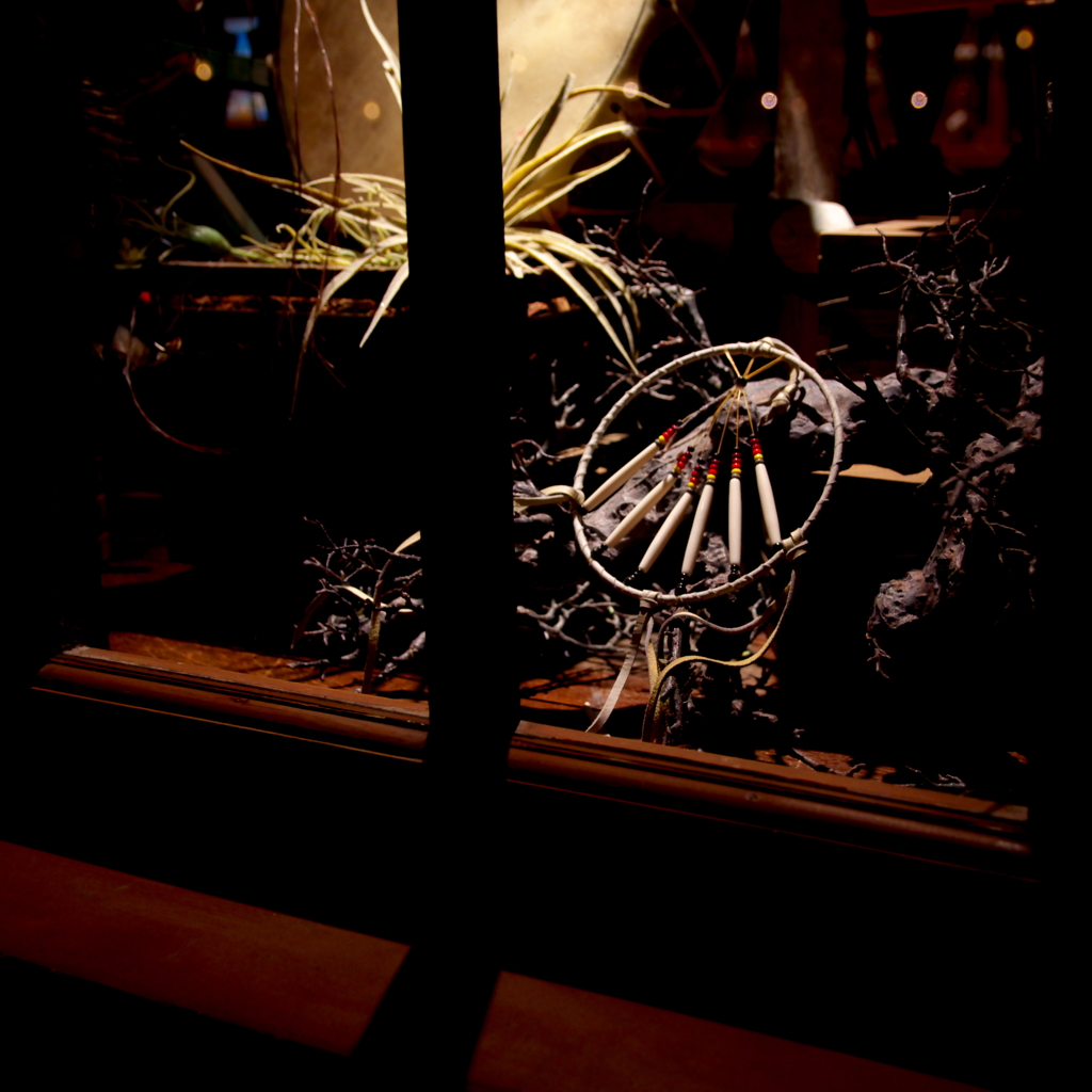 show window