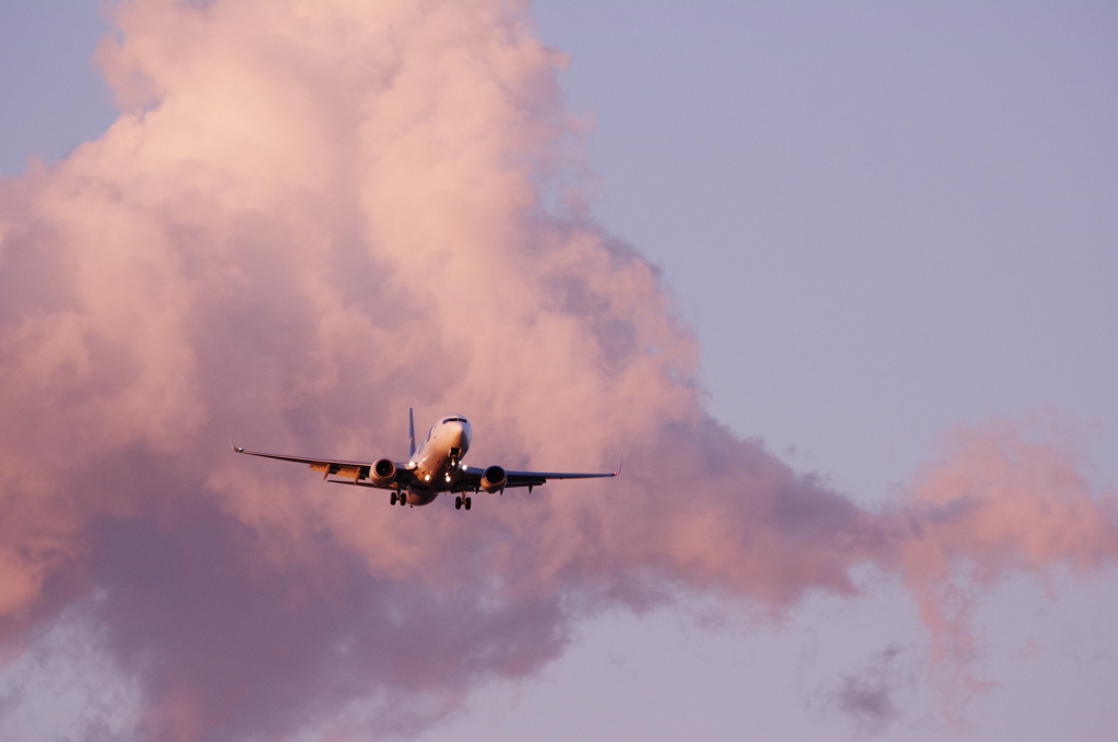旅客機初撮り！！！2