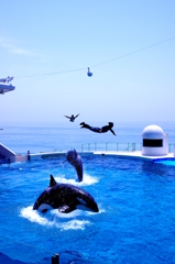 JUMP！JUMP！JUMP！　FLY？！