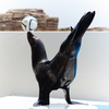 SAMURAI　BLUE を身に纏いV♪
