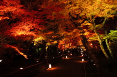 紅葉のトンネル