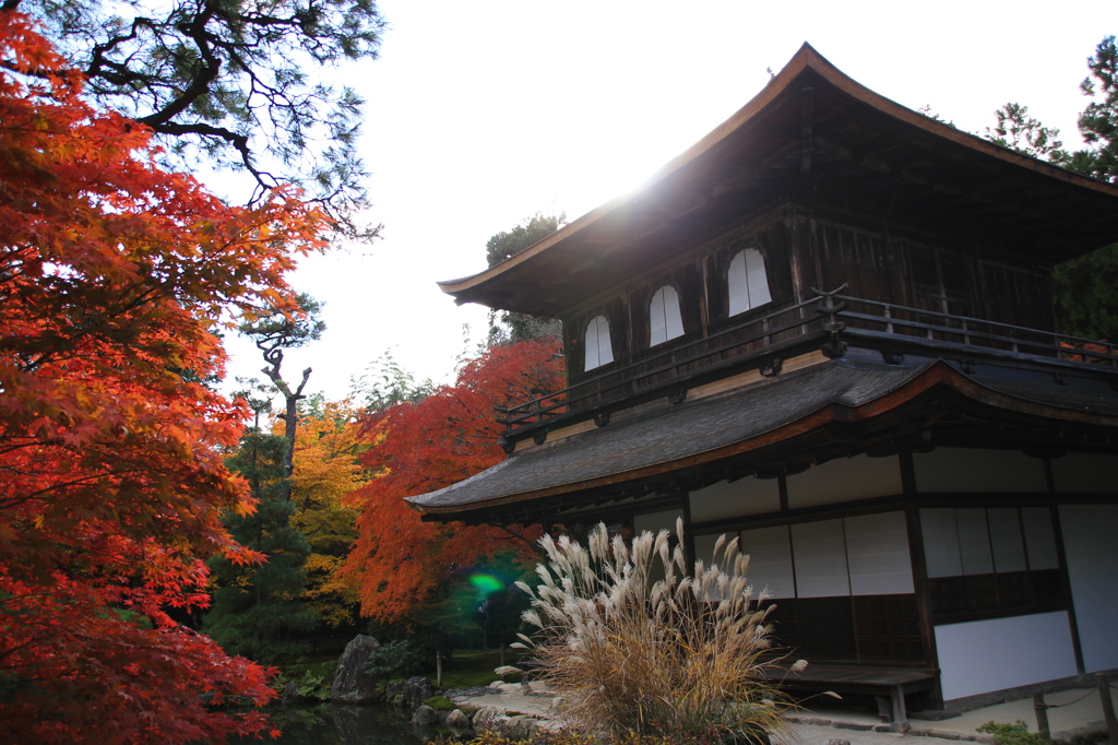 秋の慈照寺