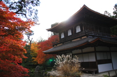 秋の慈照寺