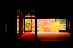 錦光