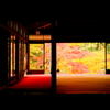 錦光
