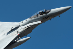 百里基地航空祭（特別公開）F-15J機動飛行