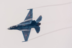 DSC_3000