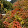 紅葉（秩父市大滝）