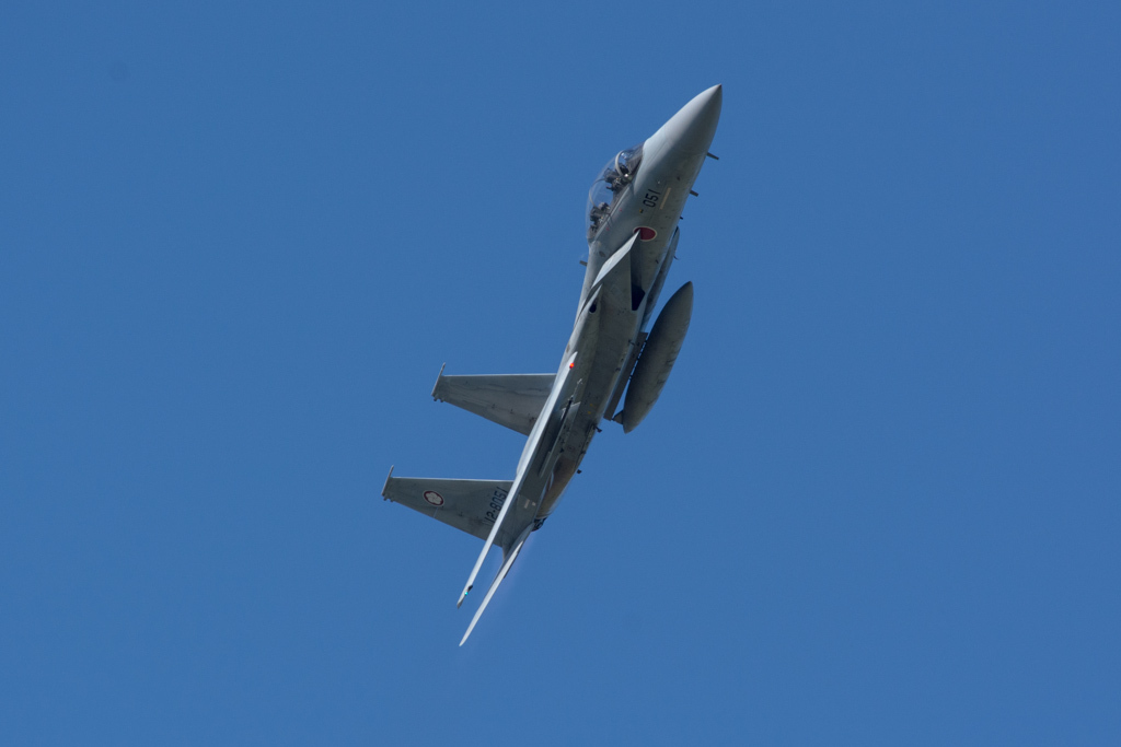 DSC_4295
