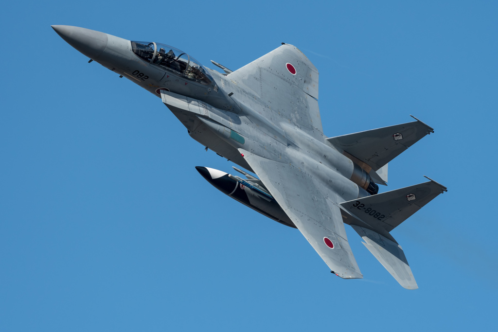 アグレッサー