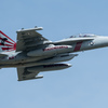 CAG機