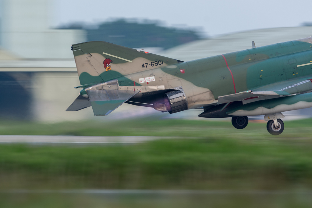 DSC_4496