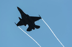 DSC_7569