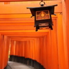 鳥居の道